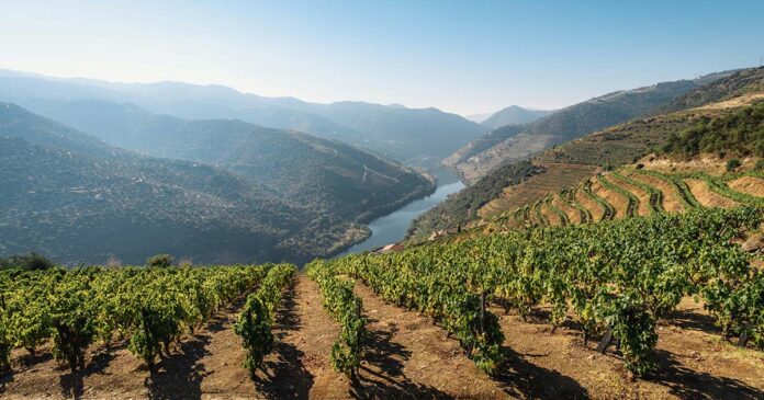 Academia Douro e Porto