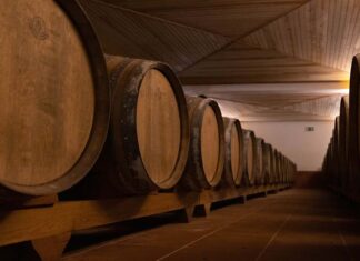 Quinta do Sampayo: A Festa do Magusto no coração do Ribatejo Quinta Sampayo Magusto