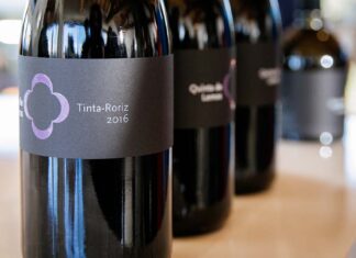 Vinhos e gastronomia em destaque na Quinta de Lemos Quinta de Lemos vinhos