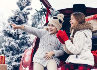 Viagens de Natal Seguras: Algumas recomendações Viagens de Natal