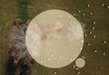 Aldeias de Montanha promovem concurso de ideias para homenagear as Queijeiras da Serra da Estrela Aldeias de Montanha Queijeiras da Serra