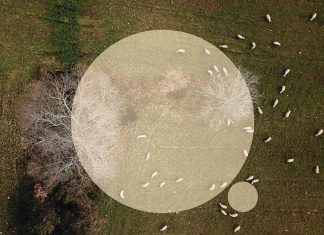 Aldeias de Montanha promovem concurso de ideias para homenagear as Queijeiras da Serra da Estrela Aldeias de Montanha Queijeiras da Serra