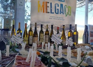 Turismo do Porto e Norte anuncia Fins de Semana Gastronómicos em 75 municípios Fins de Semana Gastronómicos norte