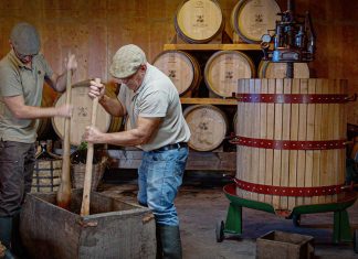 Quinta da Moscadinha: O maior produtor de sidra da Madeira junta tradição e qualidade com prémios internacionais Quinta da Moscadinha