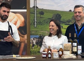 Centro de Portugal, Alentejo e Extremadura espanhola reforçam estratégia conjunta de promoção turística promoção turística centro