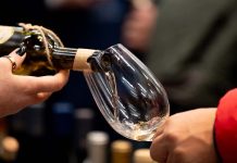 Enóphilo Wine Fest 2025: A Festa do Vinho Regressa ao Algarve Enóphilo Wine Fest Algarve