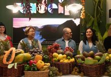 Posto de Informação Turística da Madeira completa um ano de presença em Lisboa Madeira Lisboa