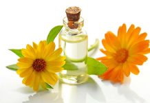 Perfumes e artigos de sexualidade registam crescimento nas vendas para o Dia dos Namorados Perfumes - pexels-mareefe-932587