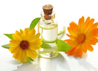 Perfumes e artigos de sexualidade registam crescimento nas vendas para o Dia dos Namorados Perfumes - pexels-mareefe-932587