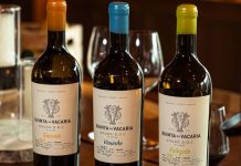 Novos Vinhos Monocastas da Quinta da Vacaria: A Elegância e Personalidade do Douro monocastas Quinta da Vacaria