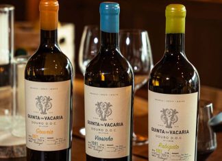 Novos Vinhos Monocastas da Quinta da Vacaria: A Elegância e Personalidade do Douro monocastas Quinta da Vacaria