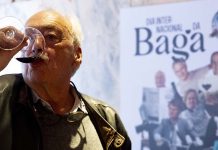 Celebração do Dia Internacional da Baga 2025: Uma experiência imperdível para os amantes do Vinho Dia Internacional da Baga