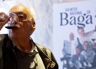 Celebração do Dia Internacional da Baga 2025: Uma experiência imperdível para os amantes do Vinho Dia Internacional da Baga