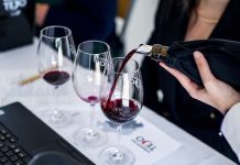 Gala Vinhos do Tejo 2025 celebra a excelência da região Gala Vinhos do Tejo
