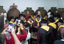 Vinho na Vila: Tradição, sabores e cultura encheram Vila Alva de alegria Vinho na Vila