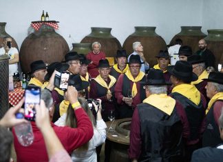 Vinho na Vila: Tradição, sabores e cultura encheram Vila Alva de alegria Vinho na Vila