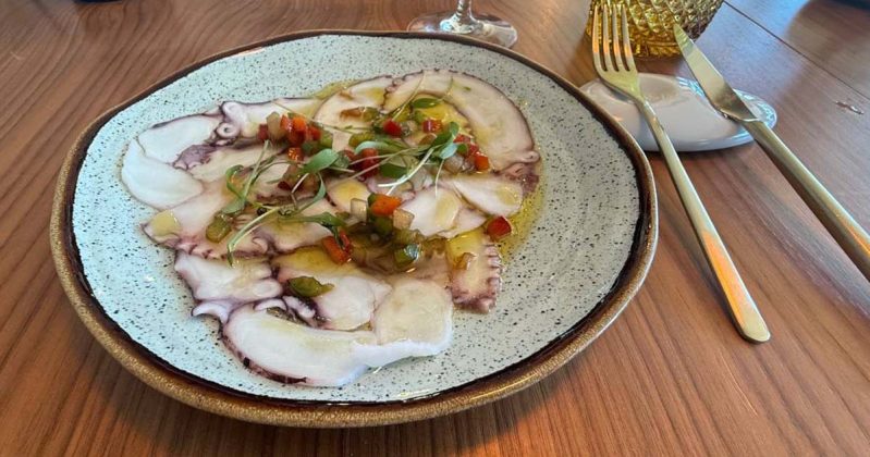 carpaccio de polvo
