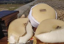 Coimbra acolhe a 1.ª edição do PROVE Vinho & Queijo: três dias para saborear tradições com selo de qualidade PROVE Vinho e Queijo