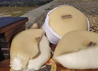 Coimbra acolhe a 1.ª edição do PROVE Vinho & Queijo: três dias para saborear tradições com selo de qualidade PROVE Vinho e Queijo