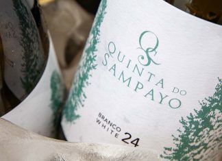 Quinta do Sampayo apresenta novo branco de 2024 e marca viragem no projeto vitivinícola Quinta do Sampayo branco 2024