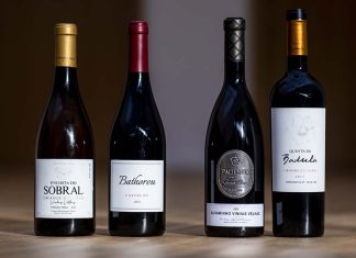 Concurso Vinhos do Tejo 2025 elegeu os melhores da região melhores Vinhos do Tejo