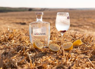 Ervideira Lança G(IN)VISÍVEL: O Novo Gin Feito de Uvas do Vinho Invisível Gin Ervideira