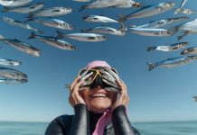 Sardinha em destaque no Out of the Blue: Matosinhos celebra a gastronomia atlântica e o futuro sustentável dos oceanos Out of the Blue