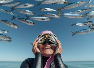 Sardinha em destaque no Out of the Blue: Matosinhos celebra a gastronomia atlântica e o futuro sustentável dos oceanos Out of the Blue