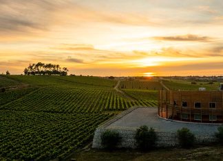 Quinta do Encontro: Enoturismo de excelência no coração da Bairrada Quinta do Encontro Enoturismo