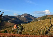 Enoturismo no Douro: Experiência inédita junta os Douro Boys à Luxury Tours in Portugal enoturismo Douro