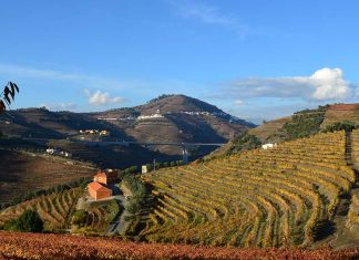 Enoturismo no Douro: Experiência inédita junta os Douro Boys à Luxury Tours in Portugal enoturismo Douro
