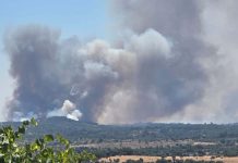 Fogo em Penamacor continua a mobilizar mais de 400 operacionais e 128 viaturas fogo em Penamacor