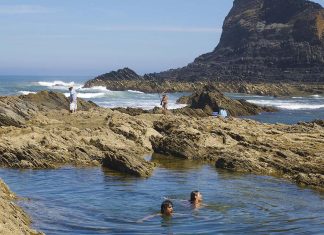 Algarve lidera turismo nacional com recordes em julho Algarve turismo
