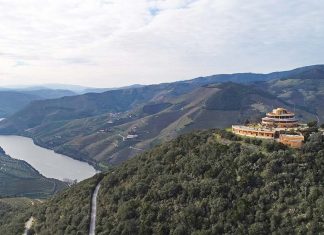 Experiência Enogastronómica no Douro: Almoços Exclusivos na Quinta das Carvalhas e à Mesa na Casa Redonda experiência enogastronómica no Douro