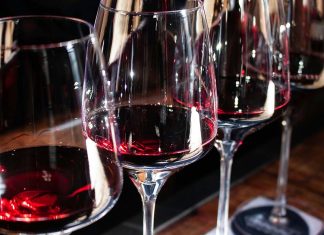 O Mundo do Vinho 2025: O festival que celebra Cultura, Gastronomia e Arte em Coimbra festival de vinho