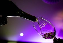 “Tejo a Copo” regressa a Tomar com provas de Vinhos do Tejo vinhos do Tejo