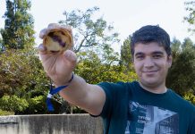 O melhor pastel de nata de Lisboa volta a ser o da Pastelaria Aloma Melhor Pastel Nata Lisboa