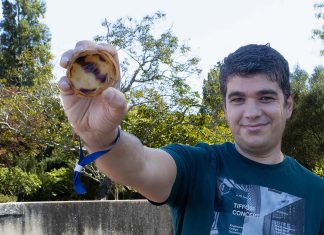 O melhor pastel de nata de Lisboa volta a ser o da Pastelaria Aloma Melhor Pastel Nata Lisboa