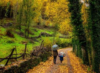 Outono Mágico no Vale do Ambroz: Uma escapadinha de outono entre cores, sabores e tradições escapadinha de outono