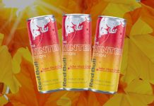 Red Bull apresenta os novos sabores de inverno sabores de inverno