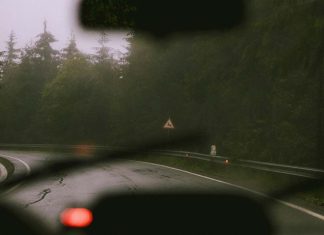 Chuva, folhas e perigos: o outono põe à prova a sua segurança na estrada segurança na estrada