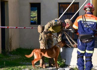 Exercício Fénix 25 testa resposta do Exército a cenário sísmico de grande magnitude na região de Lisboa Exercício Fénix 25