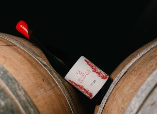 Quinta do Sampayo tinto 2024 reflete a riqueza das práticas regenerativas na Região do Tejo Quinta do Sampayo tinto