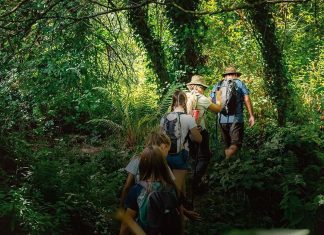 Rota Vicentina: o turismo no Alentejo cuida da natureza Rota Vicentina Alentejo