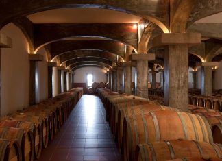 Enoturismo no Dão: Quinta de Lemos celebra 20 anos de colheitas com Open Day enoturismo no Dão
