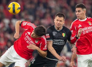 Benfica goleou Estrela da Amadora e Rafa recebeu ovação na Luz Benfica goleou Estrela Amadora