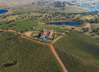 Herdade da Malhadinha Nova torna-se B Corp e reforça o compromisso com o futuro Malhadinha Nova