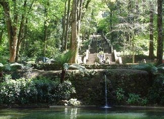 Rota da Bairrada celebra 20 anos distinguida em enoturismo nos Prémios Grandes Escolhas Rota da Bairrada enoturismo