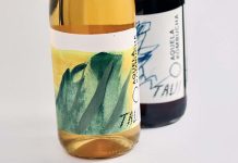 Uma kombucha sem álcool que sabe como vinho Kombucha sem Álcool
