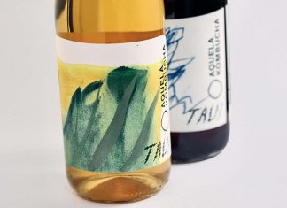 Uma kombucha sem álcool que sabe como vinho Kombucha sem Álcool